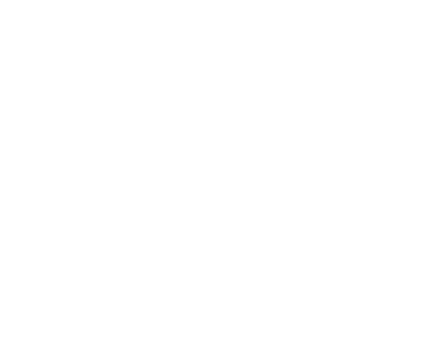Paleta Loca