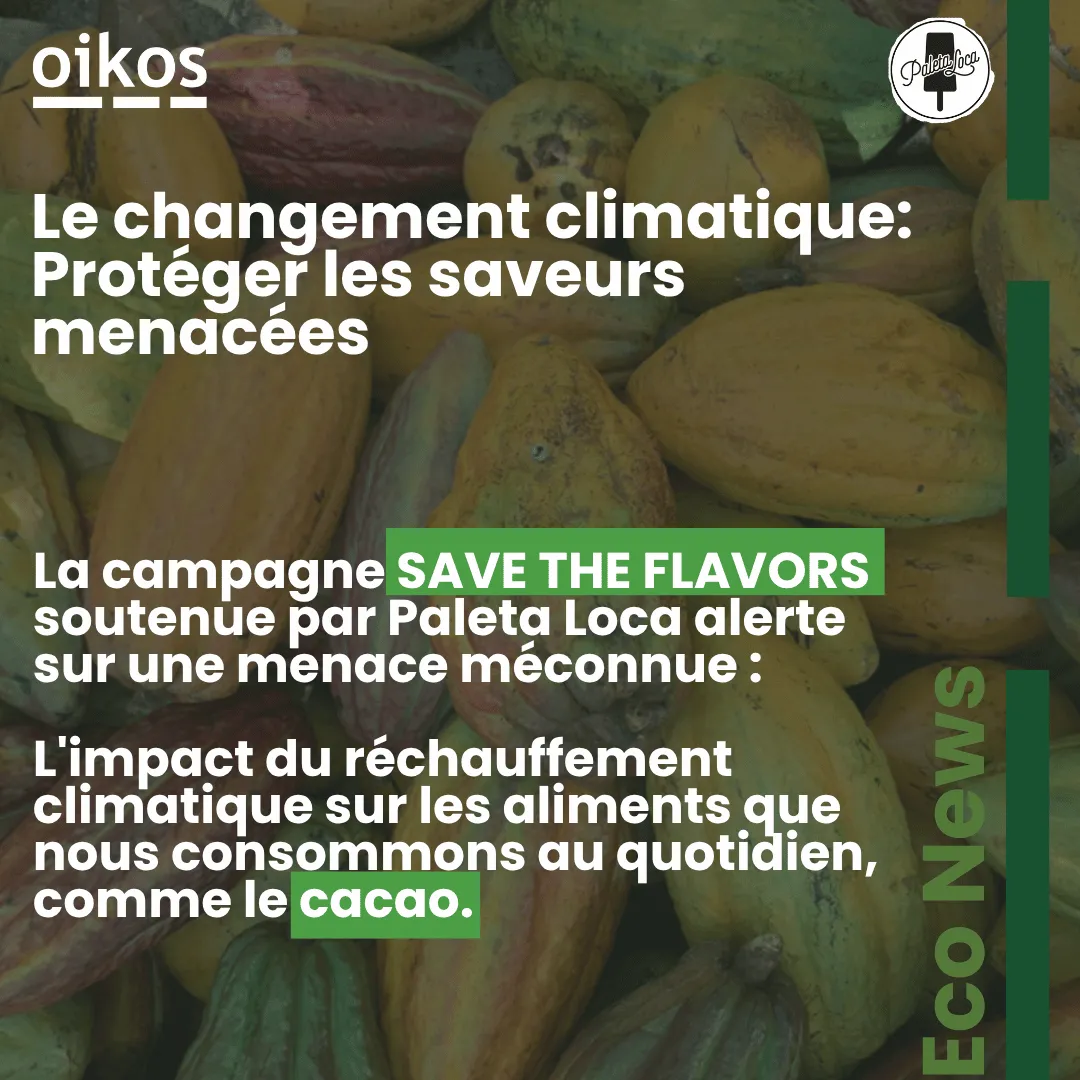 Couverture de l’EcoNews « Le changement climatique : protéger les saveurs menacées », sur fond de cabosses de cacao